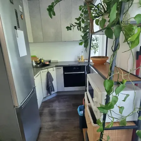 Sikupilli Pallasti Apartman