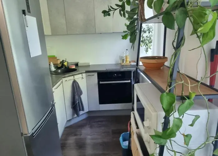 Sikupilli Pallasti Apartman